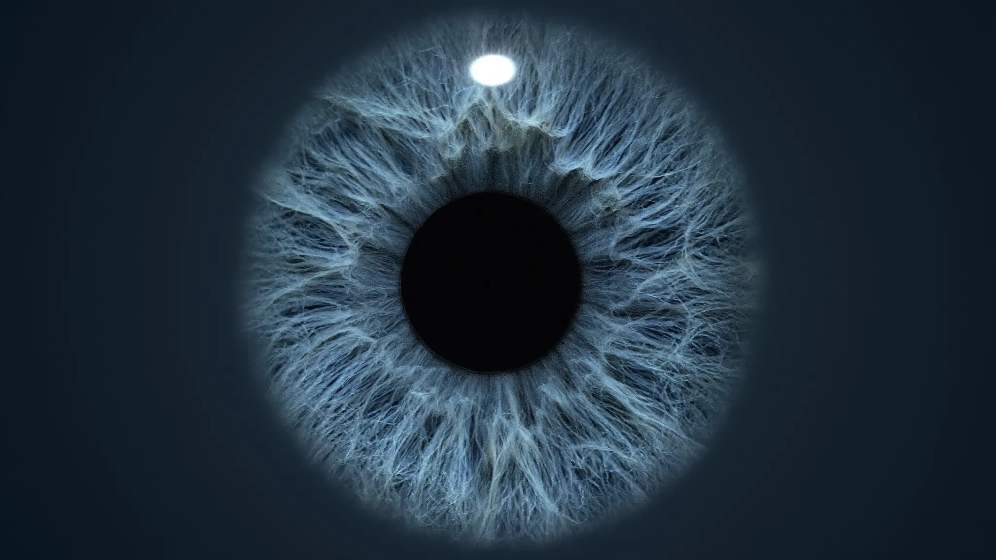 A clinical macro photograph of a human eye, the slate-blue iris fibres sharply resolved around a black pupil under a single controlled light.